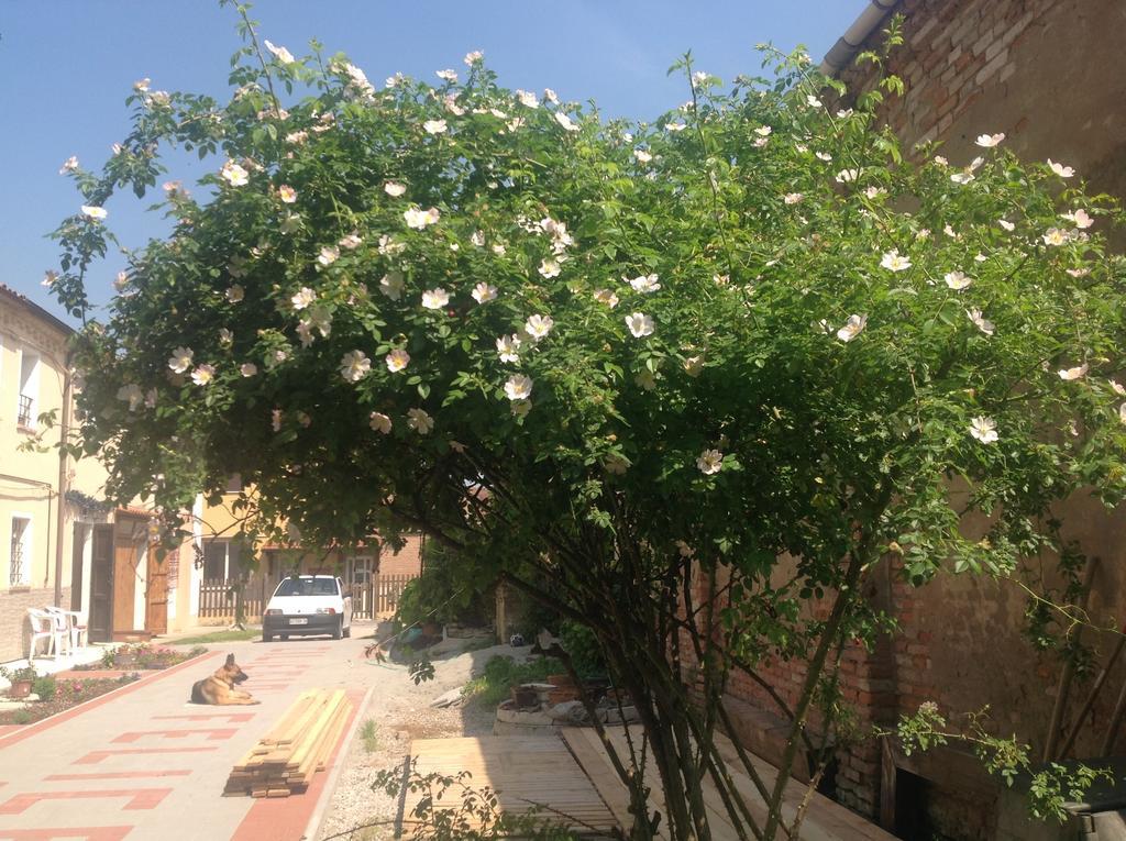 B&B Ciliegio Felice Molinella Εξωτερικό φωτογραφία